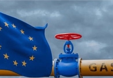 The TurkStream Alliance: How Allies Shielded Russian Gas from a Ban