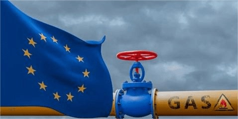 The TurkStream Alliance: How Allies Shielded Russian Gas from a Ban